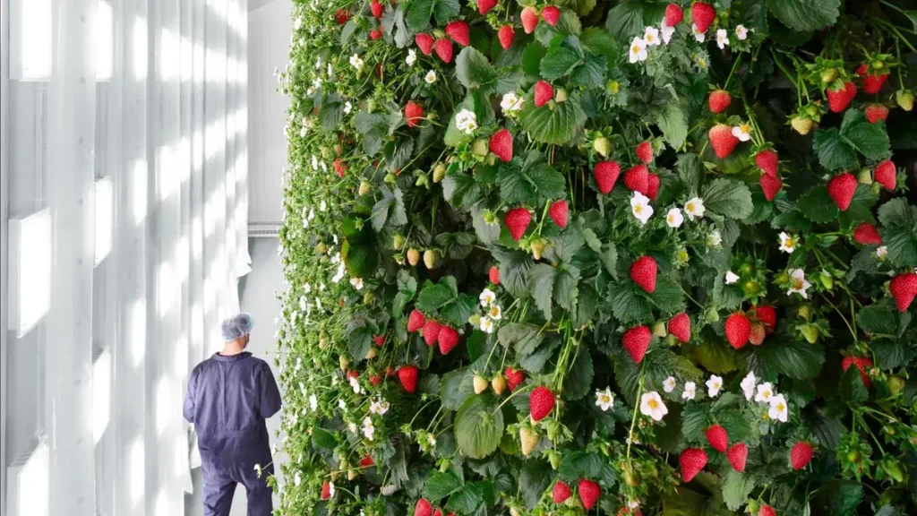 Modular Strawberry Wall Planter