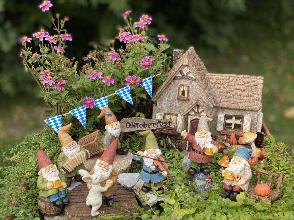 Gnome Garden Obstacle Course