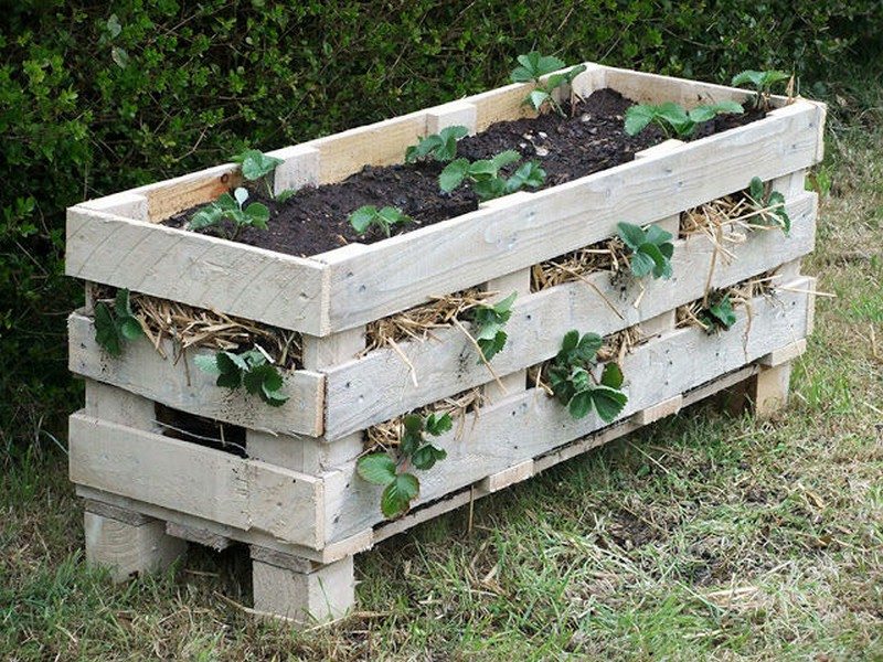 Pallet Strawberry Tower Planter