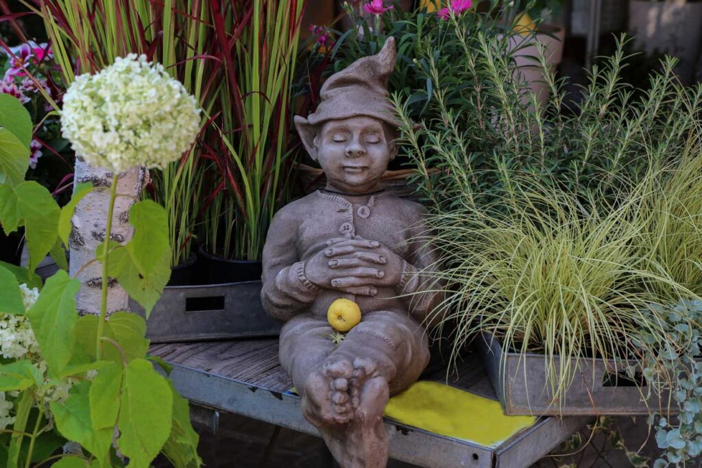 Place Large Gnomes in Your Garden