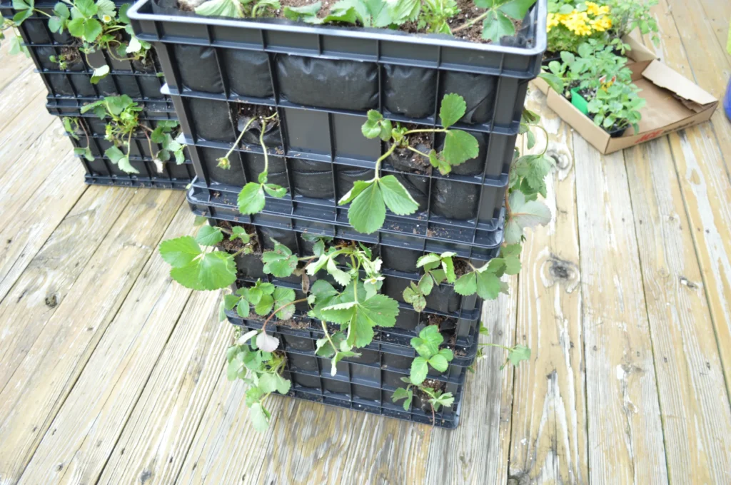 Plastic Crate Strawberry Planter