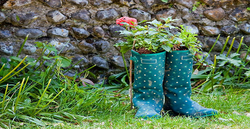Rain Boots on Tree Stumps