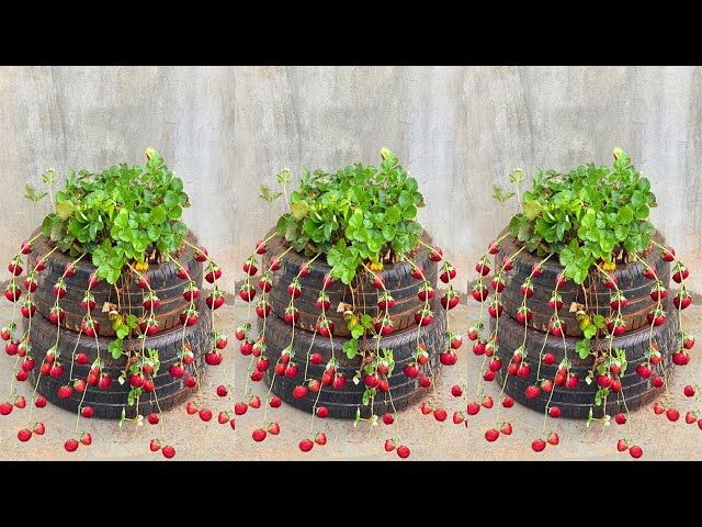Recycled Tire Strawberry Planter