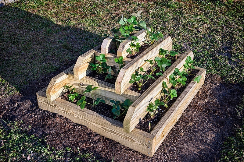 Strawberry Pyramid Planter