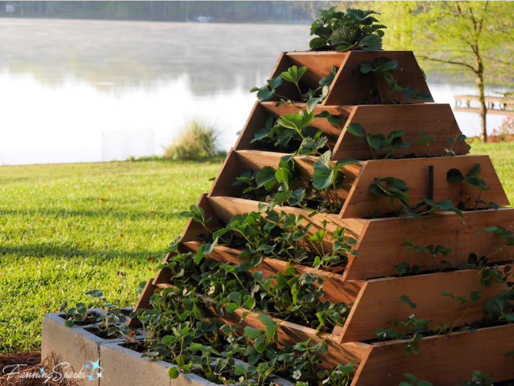 Wooden Strawberry Ladder