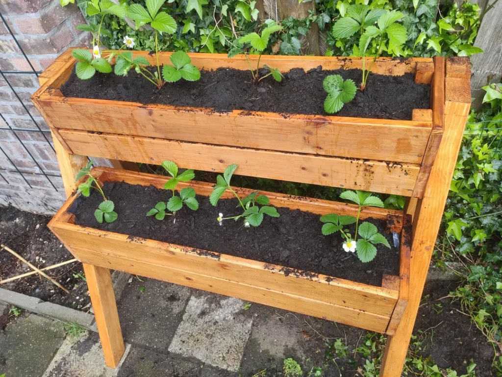 Wooden Box Planter