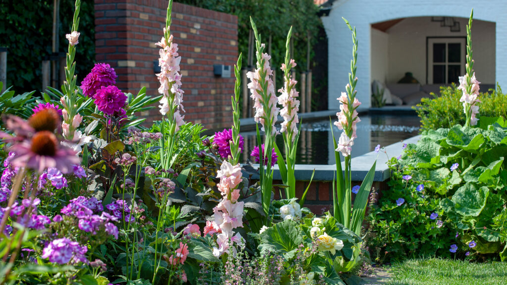 Wildflowers Add Color to Your Garden