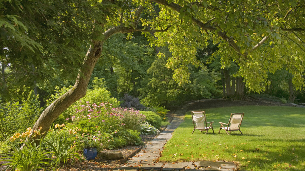 Trimmed Trees as Garden Features