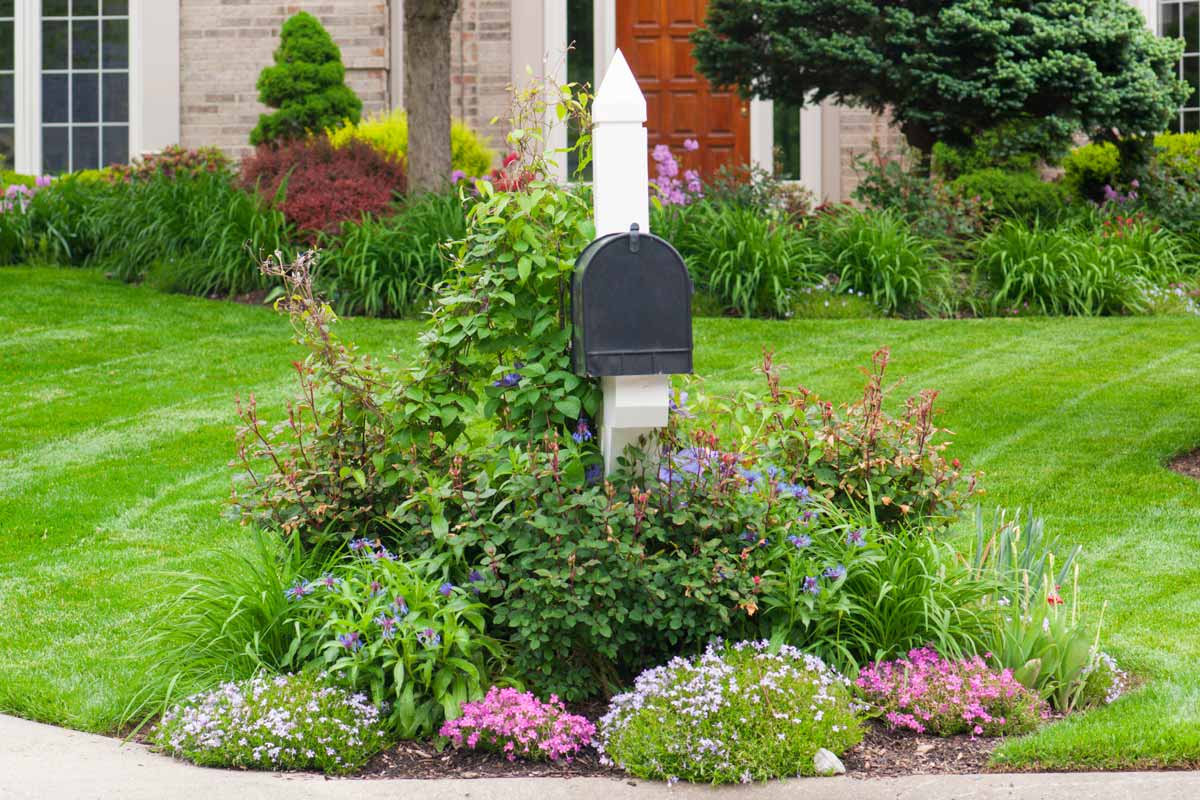  Mailbox Garden for Extra Curb Appeal