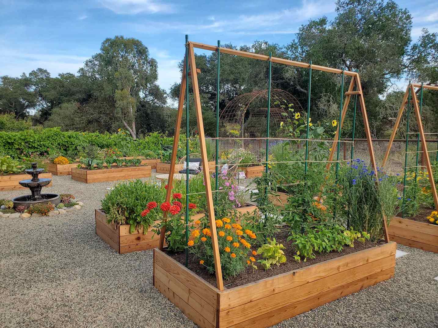 DIY Trellis for Climbing Plants