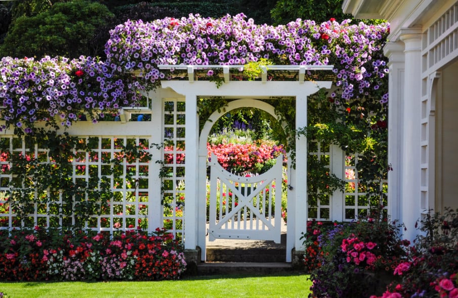 Pergola Arbor Gate