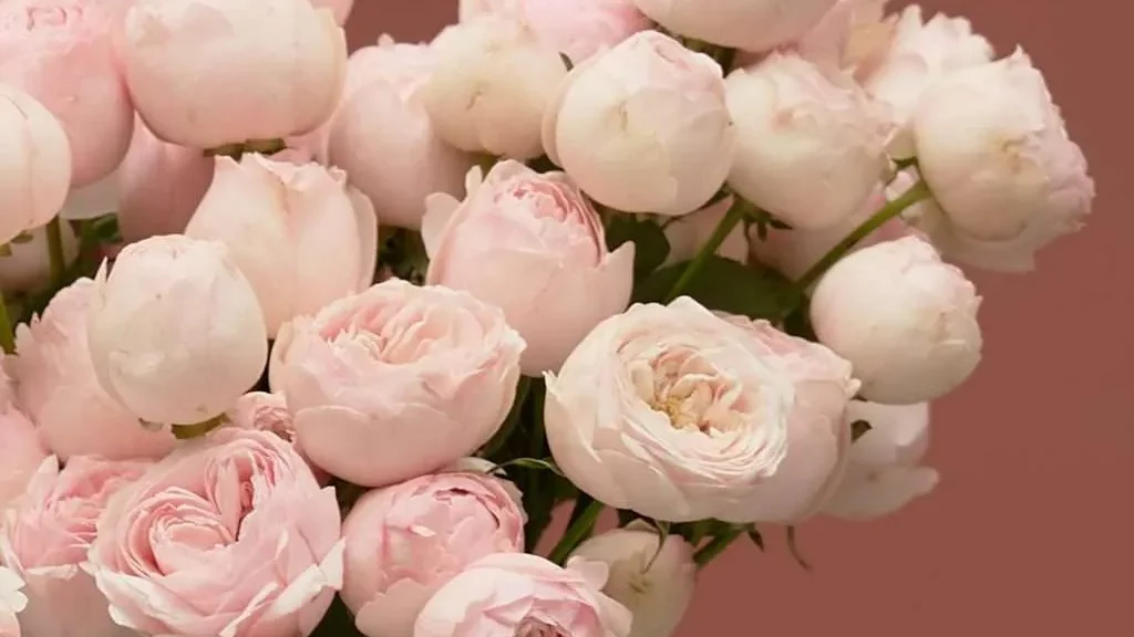  Bring On the Pink with Beautiful Flowers