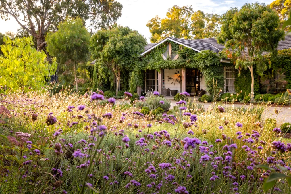 Cottage-Style Wildflower Garden